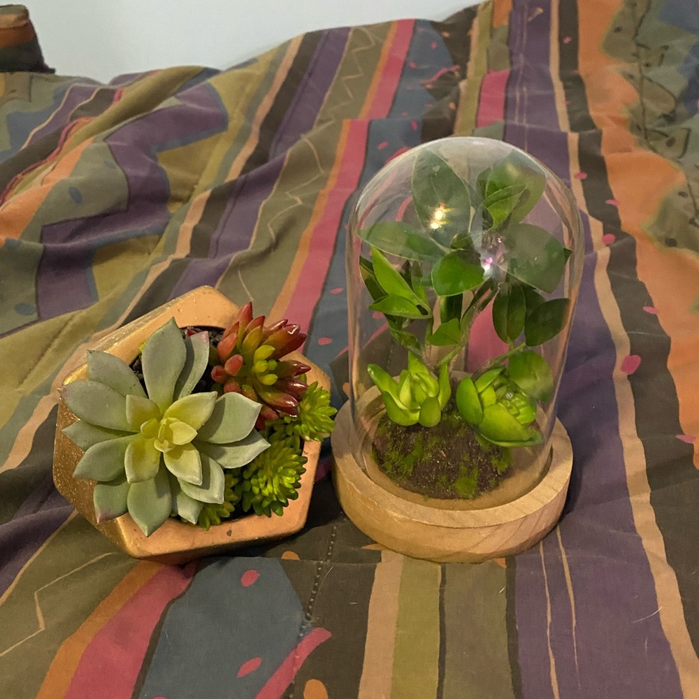 fake plants